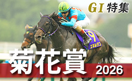 菊花賞2026 G1特集
