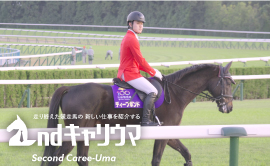 セカンドキャリウマ 動画公開中!