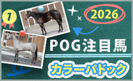 �琬�q��J���[�p�h�b�N2026