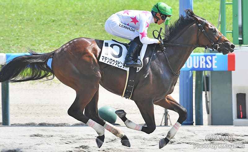 勝ち上がり若駒コラム | POG ペーパーオーナーゲーム│JRA-VAN