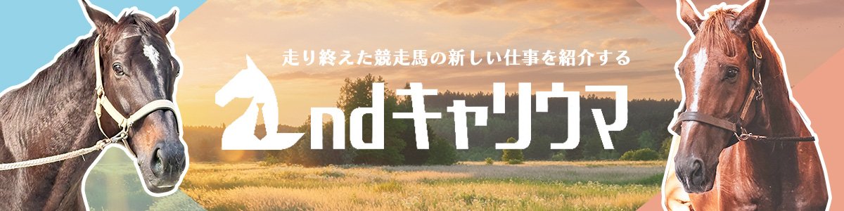 �Z�J���h�L�����E�} ����I�������̐l�����Љ��