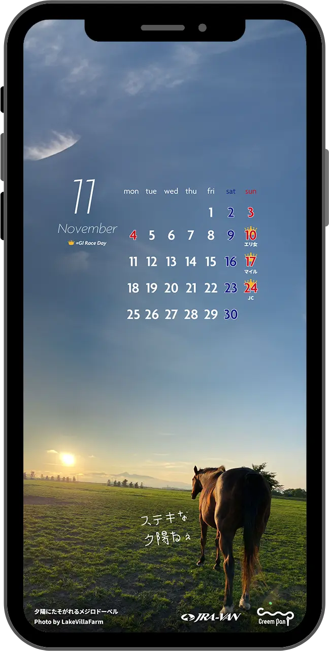 �ǎ�2411