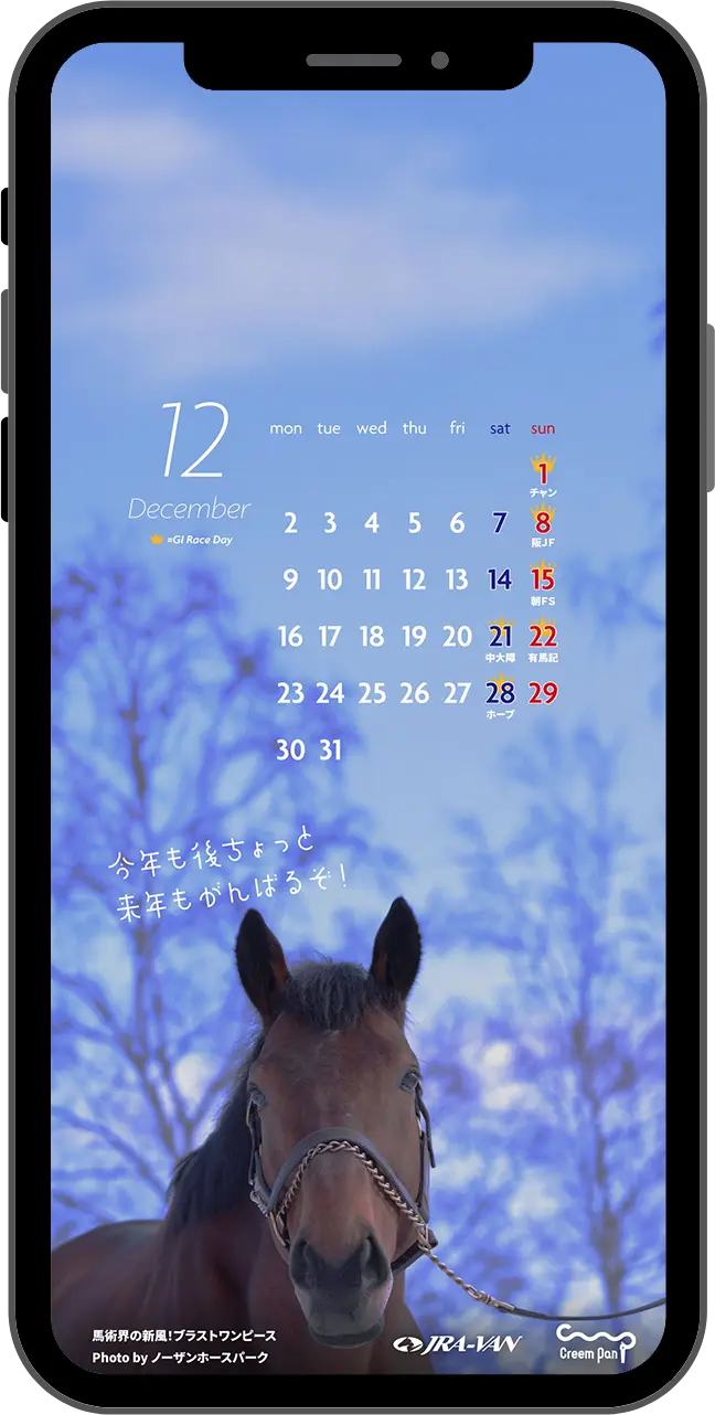 �ǎ�2412